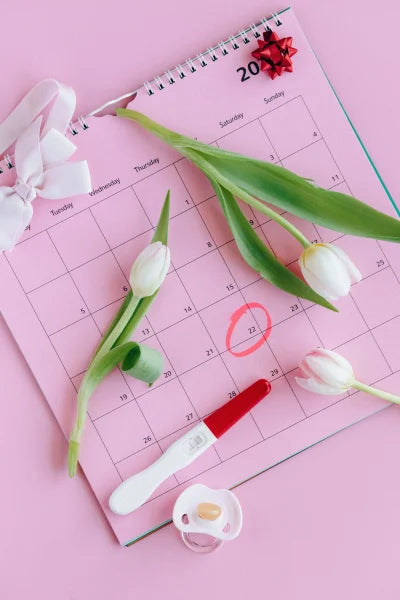 High and Peak Fertility: How Can You Tell When You’re Most Fertile?