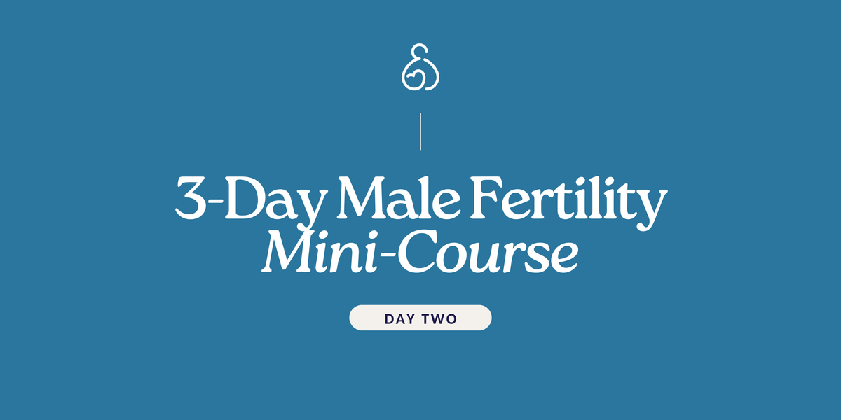 Male Fertility Mini-Course: Day Two – Hera Fertility